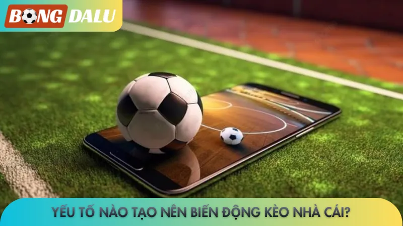 Yếu tố nào tạo nên biến động kèo nhà cái?