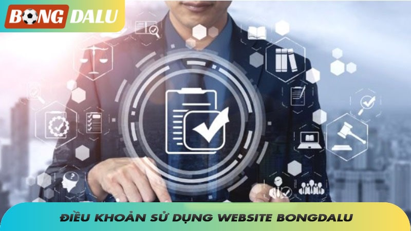 Điều khoản sử dụng tại website Bongdalu
