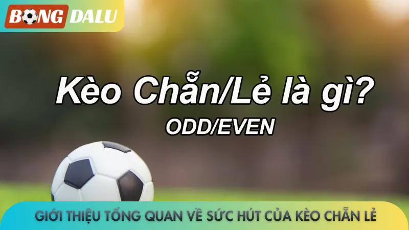 Giới thiệu tổng quan về sức hút của kèo chẵn lẻ