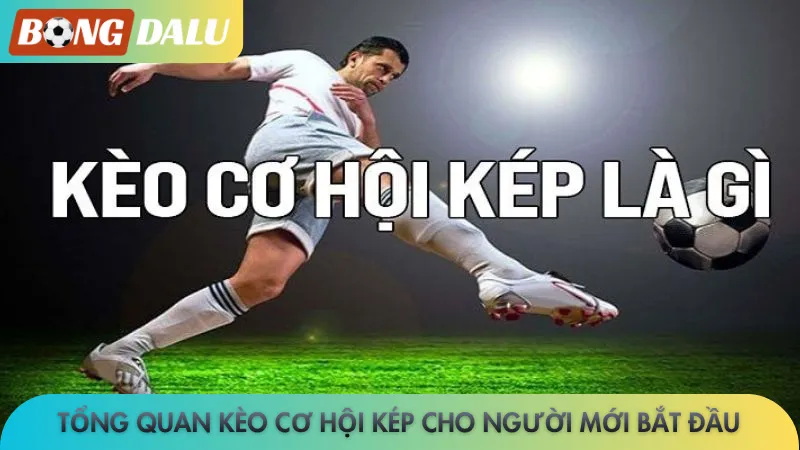 Tổng quan kèo cơ hội kép cho người mới bắt đầu